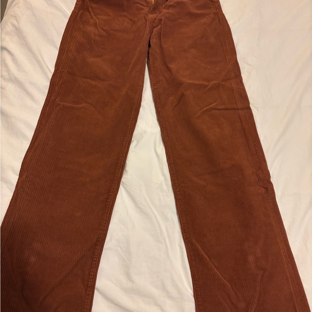 Agolde Saddle Brown Corduroy Pants